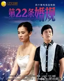 电视剧第22条婚规剧情介绍