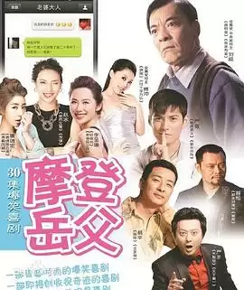 电视剧摩登岳父剧情介绍