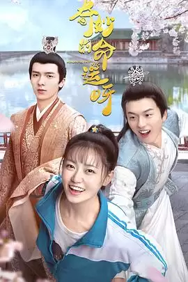 《奇妙的命运呀》电视剧剧情介绍