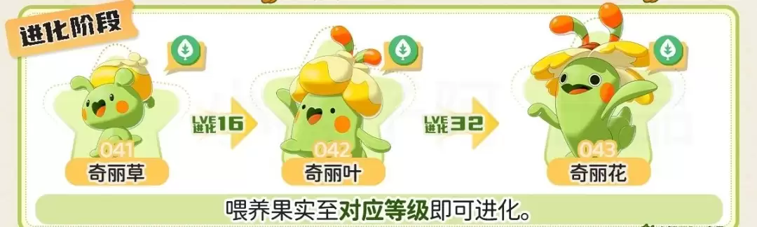 洛克王国世界奇丽花进化方式