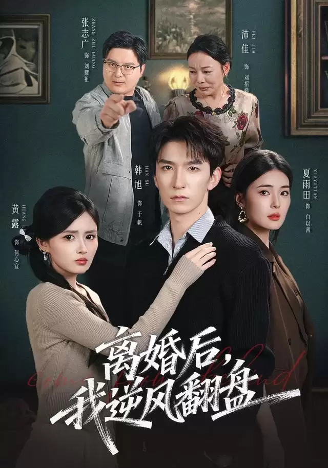 短剧《离婚后，我逆风翻盘》剧情介绍