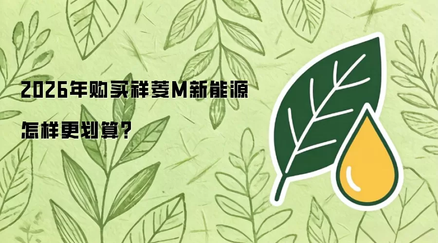 2026年购买祥菱M新能源怎样更划算?
