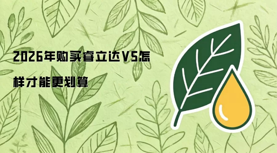 2026年购买睿立达V5怎样才能更划算