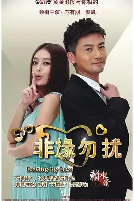 电视剧《非缘勿扰》剧情介绍