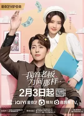 电视剧《我的老板为何那样》剧情介绍