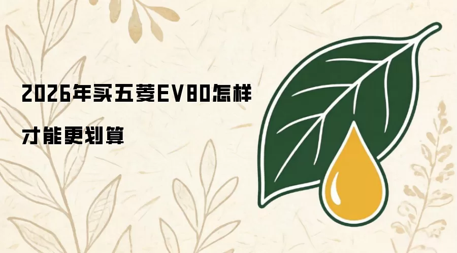 2026年买五菱EV80如何才能更划算
