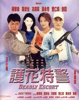 影片《护花特警》剧情介绍