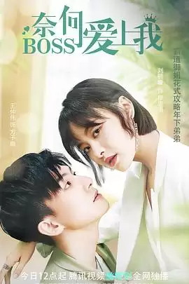 电视剧《奈何BOSS爱上我》：剧情介绍