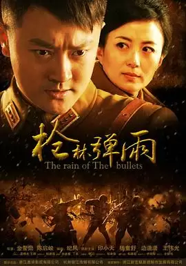 电视剧《枪林弹雨》剧情梗概