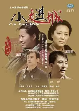 电视剧《小麦进城》剧情梗概