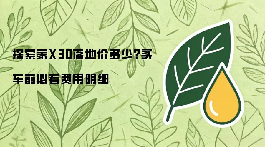 探索家X30落地价多少?买车前必看费用明细