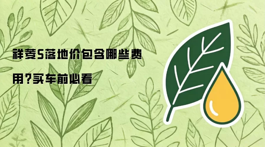 祥菱S落地价包含哪些费用?买车前必看