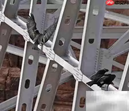 工程设计负责人的实战经验
