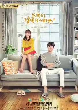 电视剧《致我们暖暖的小时光》剧情介绍