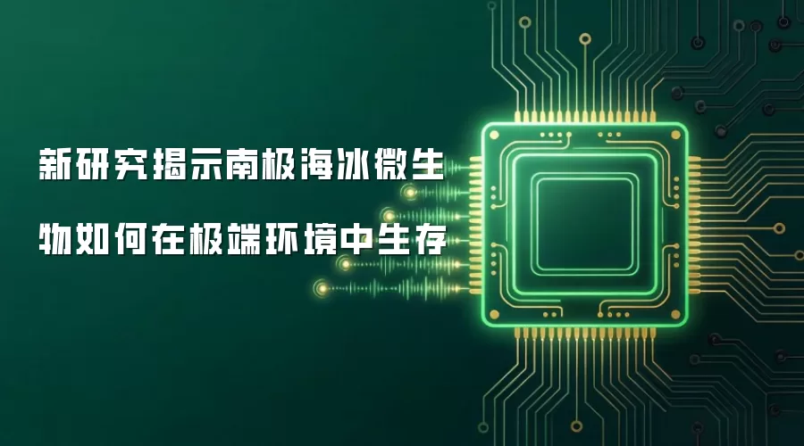 新研究揭示南极海冰微生物在极端环境中如何生存