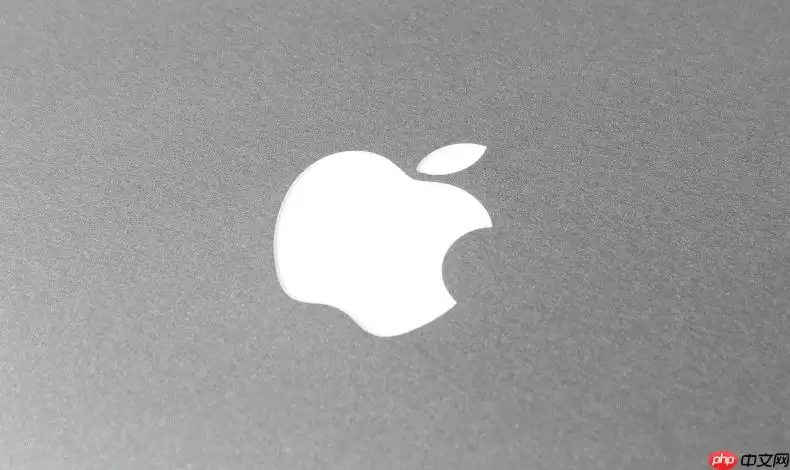 苹果手机通知中心不显示消息怎么办 iPhone消息推送失灵的检查与修复:权限设置