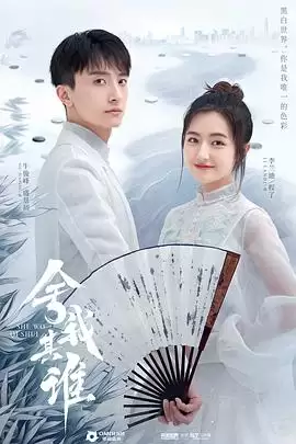 电视剧舍我其谁2021剧情介绍