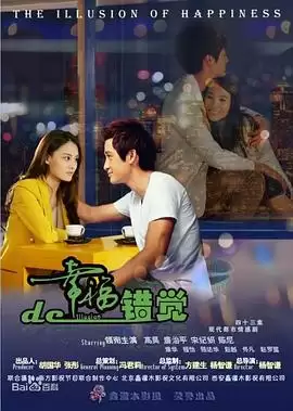 《幸福的错觉》电视剧剧情介绍