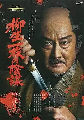 电影《柳生一族的阴谋》剧情介绍