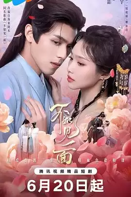 电视剧《不如见一面》剧情介绍