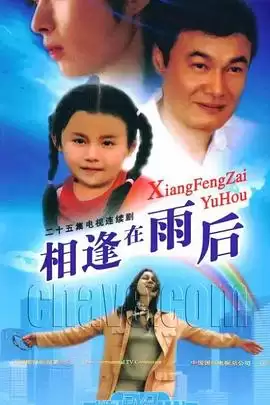 电视剧《相逢在雨后》剧情介绍