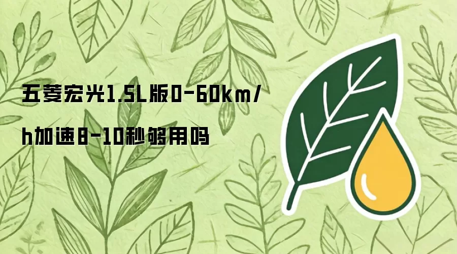 五菱宏光1.5L版0-60km/h加速8-10秒是否够用