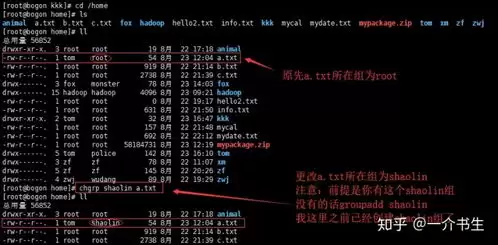 如何在Linux中查询某个用户权限