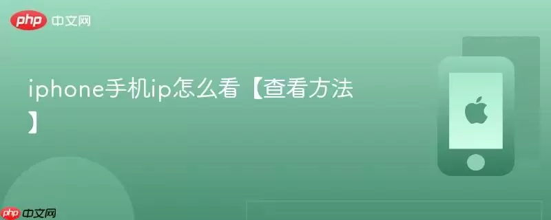 iphone手机ip怎么查看【查看方法】