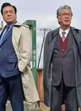 《西村京太郎神秘旅行 72 十津川警部的最后旅行》电影剧情介绍