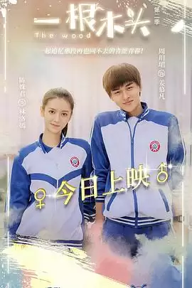 电视剧《一根木头第二季》剧情简介