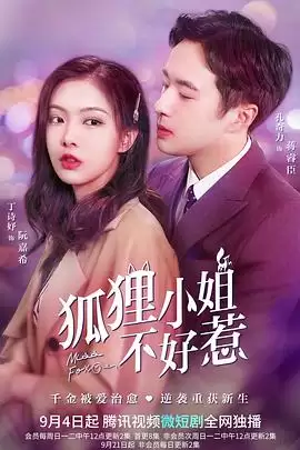 电视剧《狐狸小姐不好惹》剧情简介