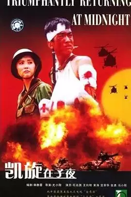电视剧凯旋在子夜剧情介绍