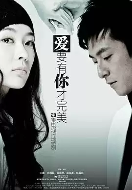 《爱要有你才完美》电视剧剧情介绍