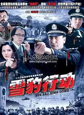 电视剧雪豹行动剧情介绍