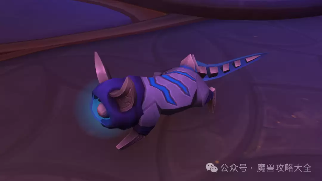 魔兽世界泰然深潜猫宠物怎样获得