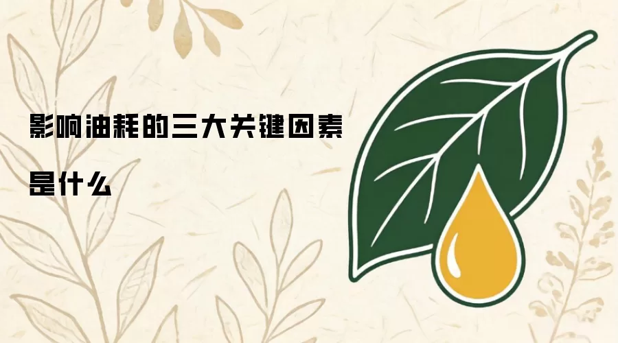 影响油耗的三大关键因素有哪些