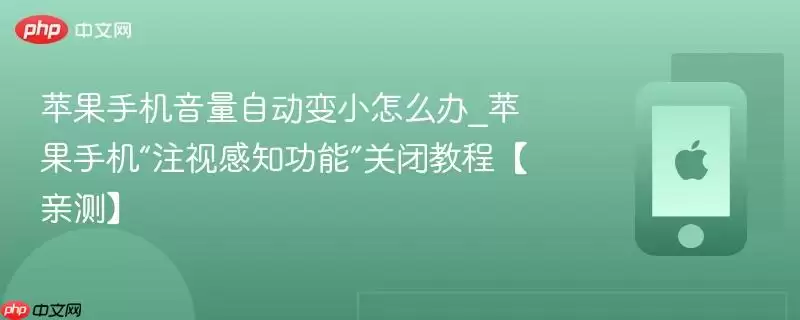 苹果手机音量自动变小怎么办_苹果手机注视感知功能关闭教程亲测