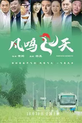 电影《凤鸣飞天》剧情介绍