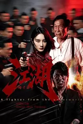 电影《江湖格斗家》剧情简介