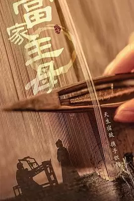 电视剧《当家主母》剧情简介