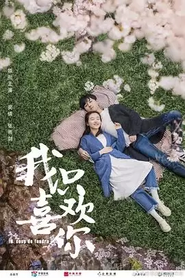 电视剧《我只喜欢你》剧情介绍