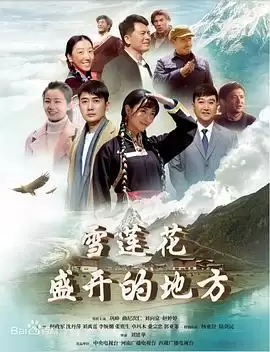 电视剧《雪莲花盛开的地方》剧情介绍