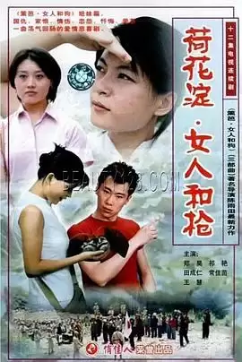 电视剧《荷花淀、女人和枪》剧情介绍