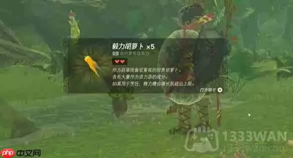 塞尔达巨大的骨碌碌怎么做-巨大的骨碌碌任务攻略