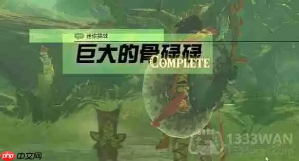 塞尔达巨大的骨碌碌怎么做-巨大的骨碌碌任务攻略