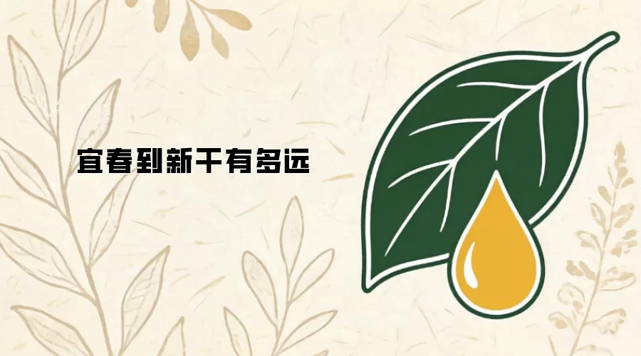 宜春至新干有多远