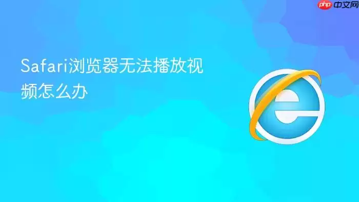 Safari浏览器视频无法播放怎么办