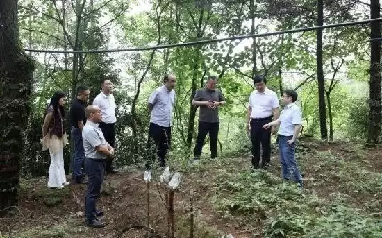 沪万协作又结硕果：山里有了“科研哨所”