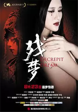 电影《残梦》剧情简介