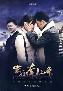 电视剧家在南三条剧情介绍